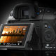 Illustration for article titled Sony A300 and A350 DSLRs Have Two-Way Tilting Live View